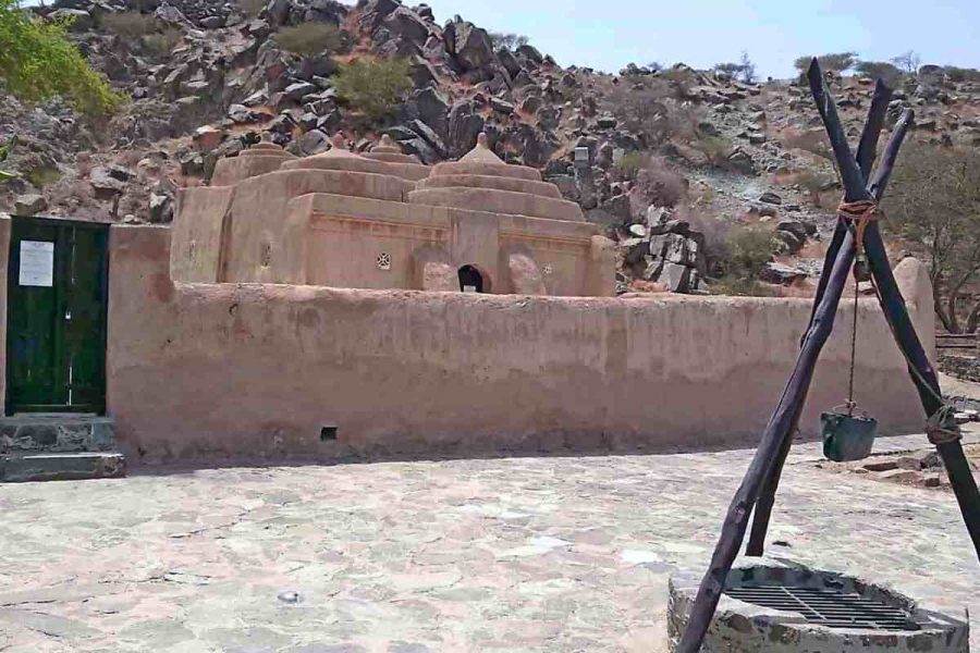 UAE East Coast Tour from Dubai