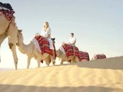Camel Ride Dubai