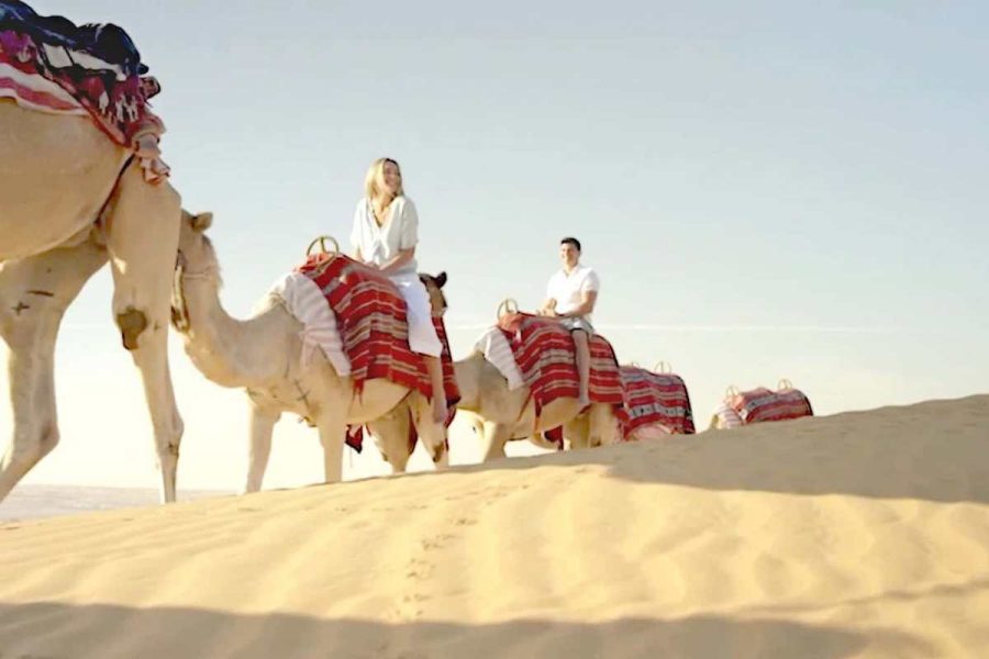 Camel Ride Dubai