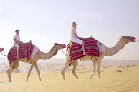 Dubai Camel Ride