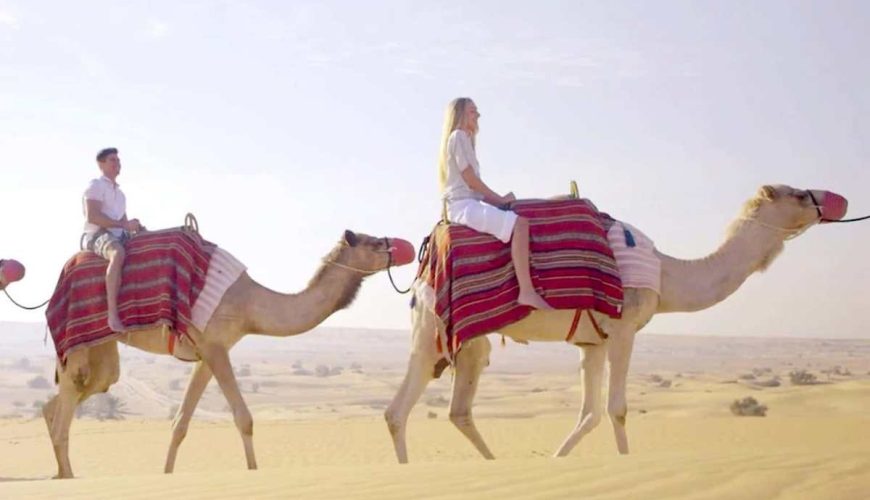 Dubai Camel Ride
