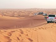 Morning Desert Safari Dubai