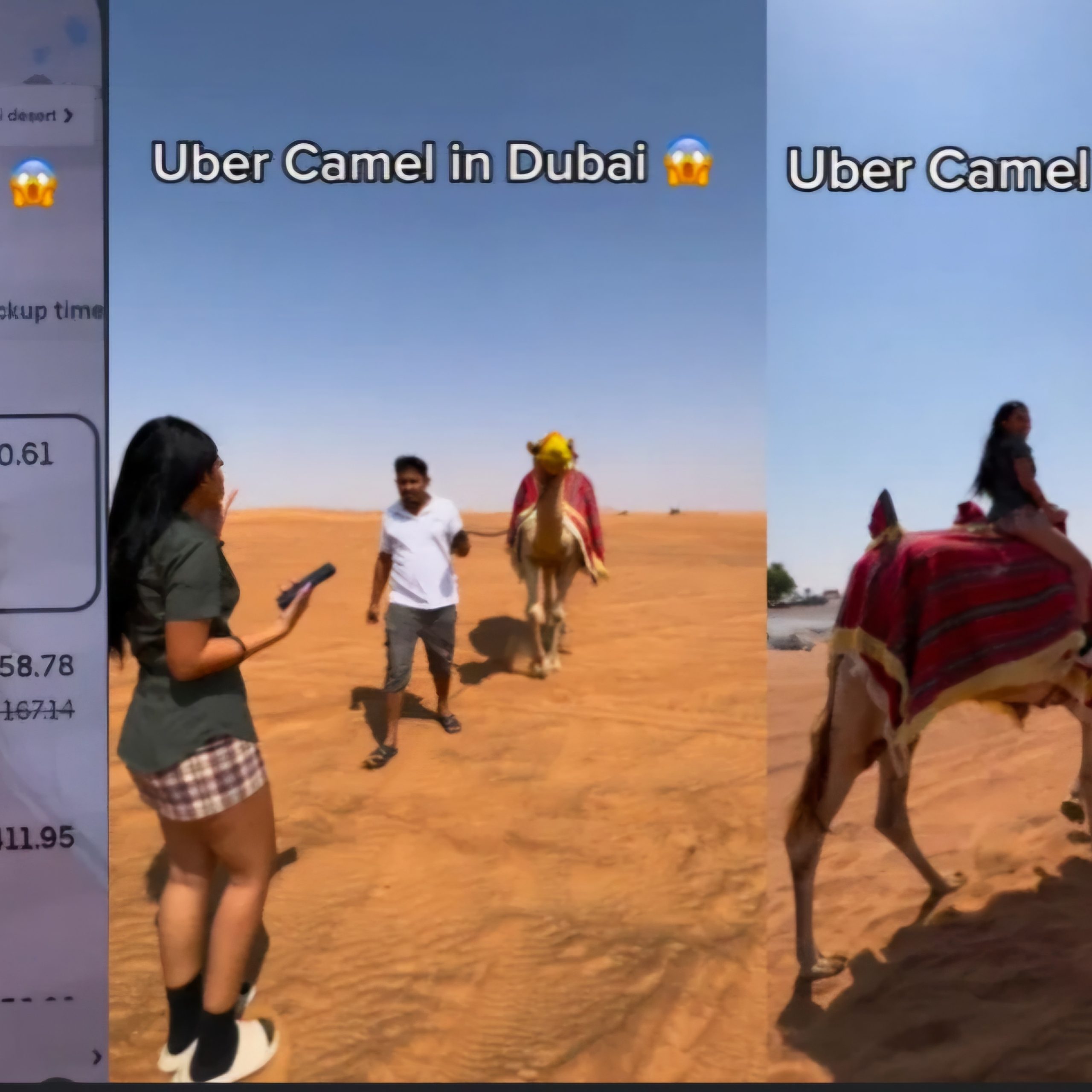 Uber Camel Ride Dubai